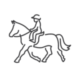 Horseback riding sketch