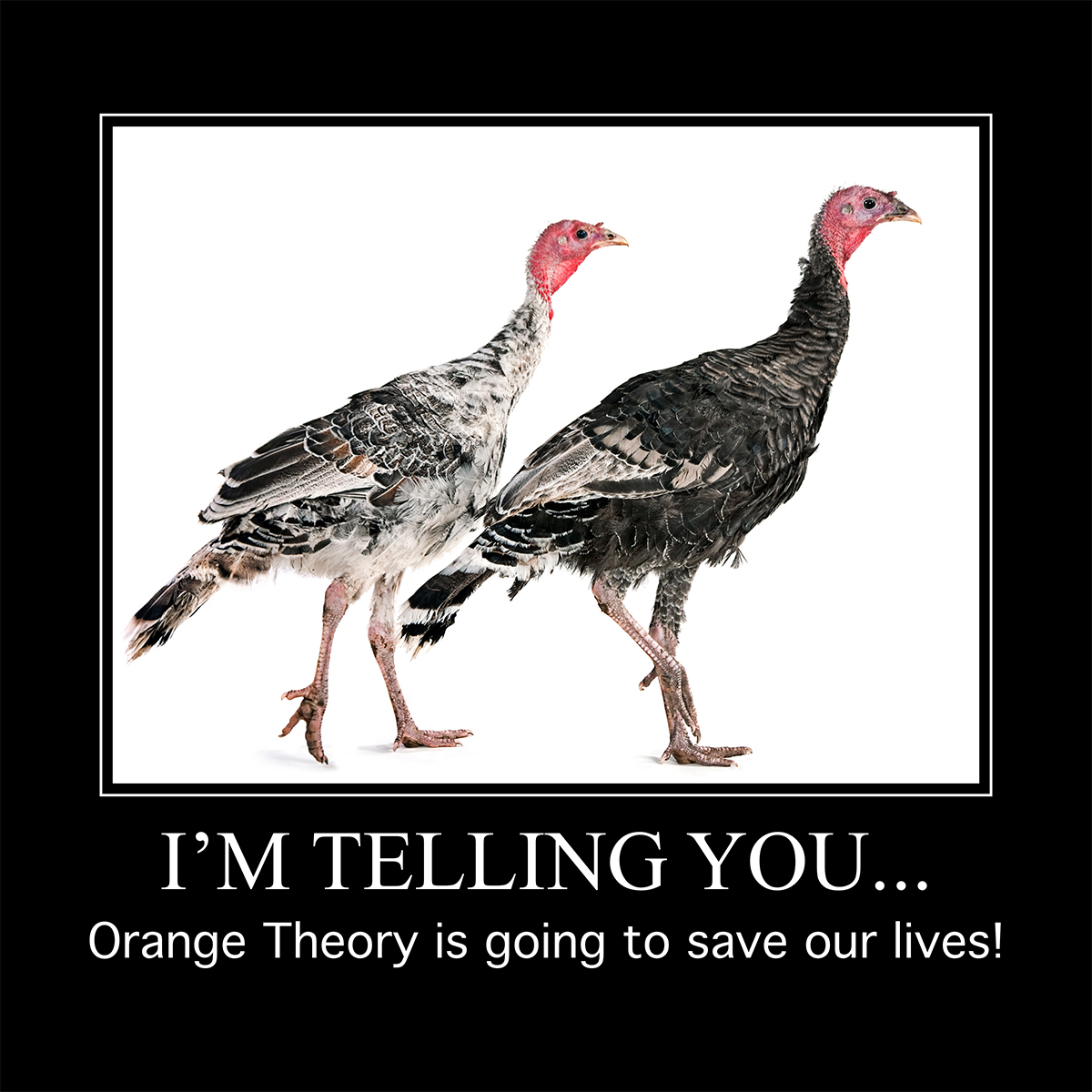 Turkey meme of two turkeys standing saying "I'm telling you... Orange Theory is going to save our lives!"