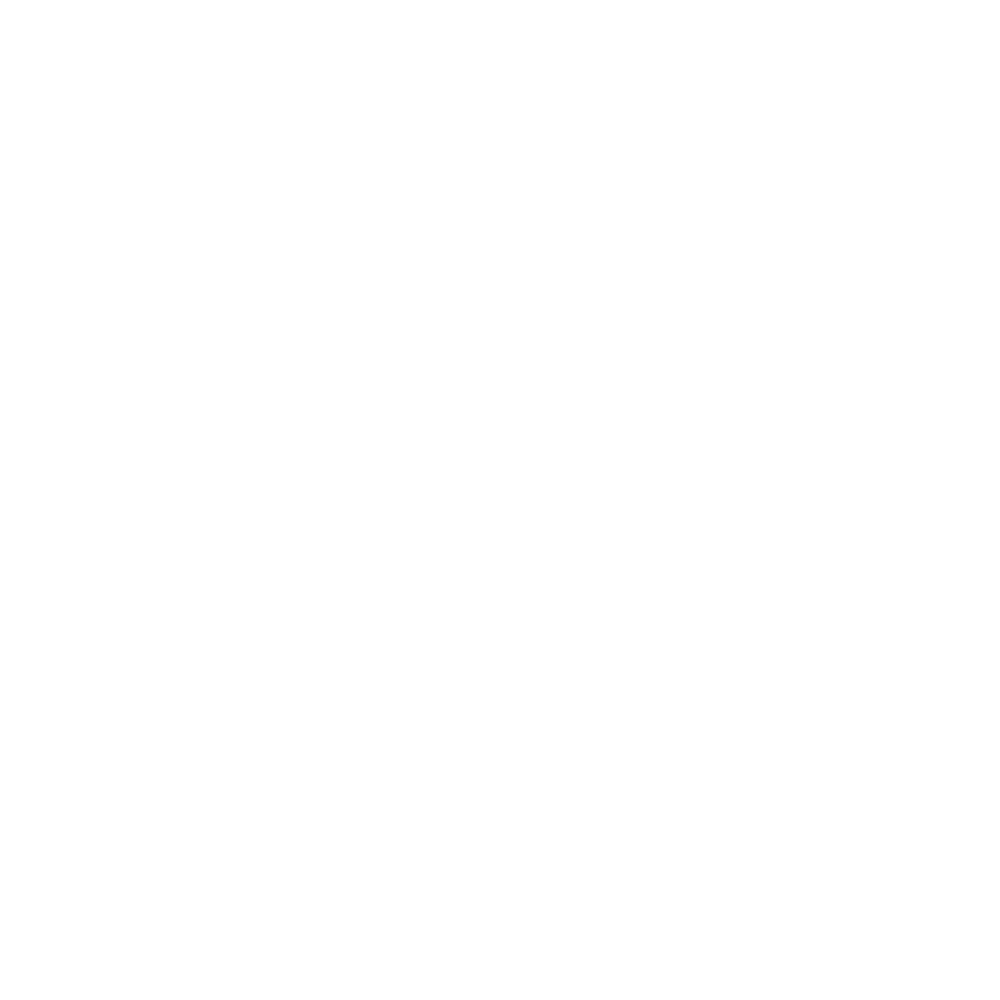 Undeniably Downtown Duluth